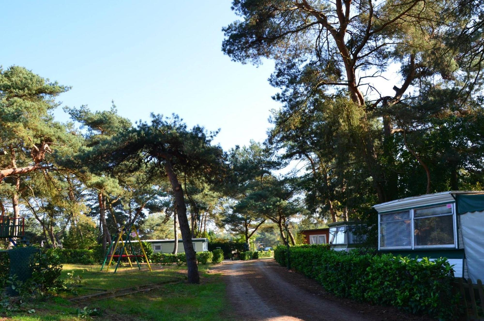 Safaritent At Camping Gt Keiheuvel Balen ภายนอก รูปภาพ